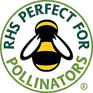 How to help the bees | RHS Perfect for Pollinators symbol
