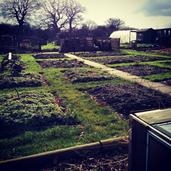 How to get an allotment