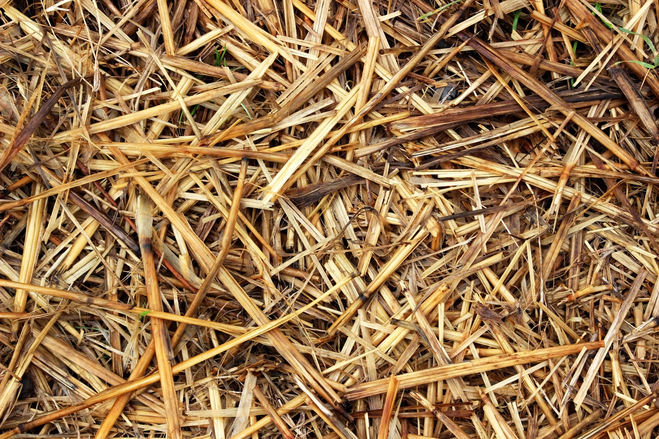 Top 10 composting tips