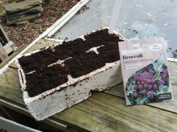 Broccoli: Early Purple Sprouting