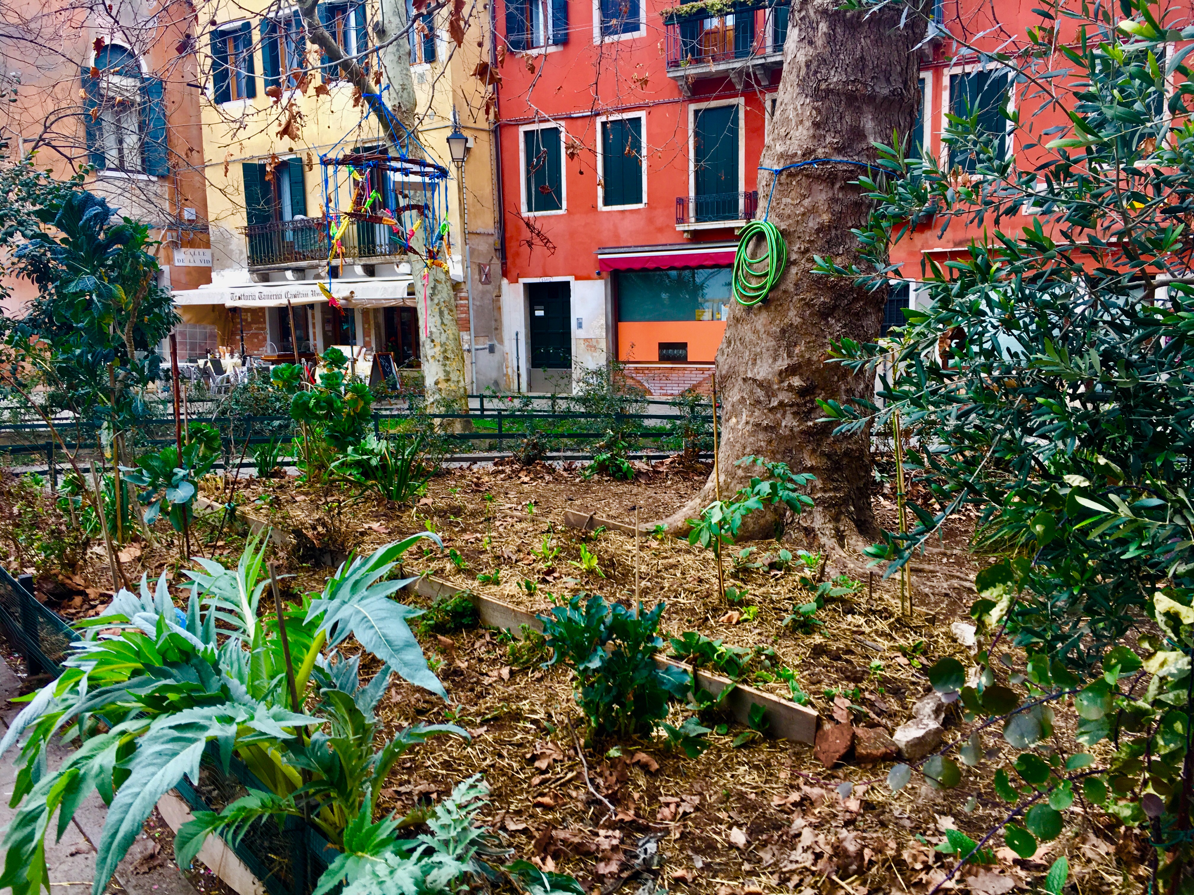 Venice’s Gardens and Green Space