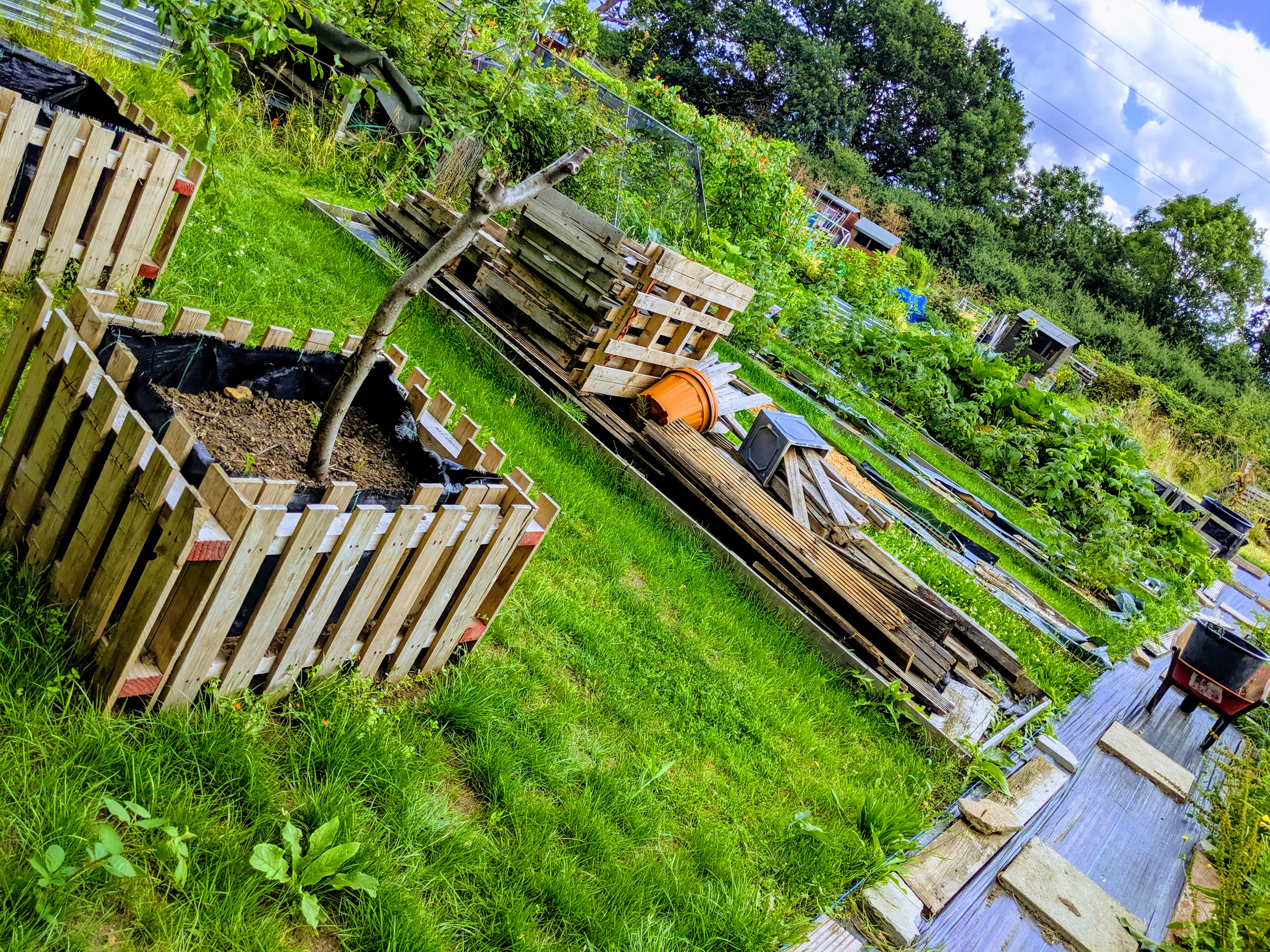 Dealing with an allotment after you’ve been on holiday