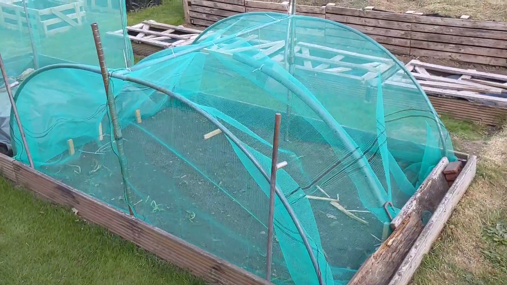 Making a brassica cage