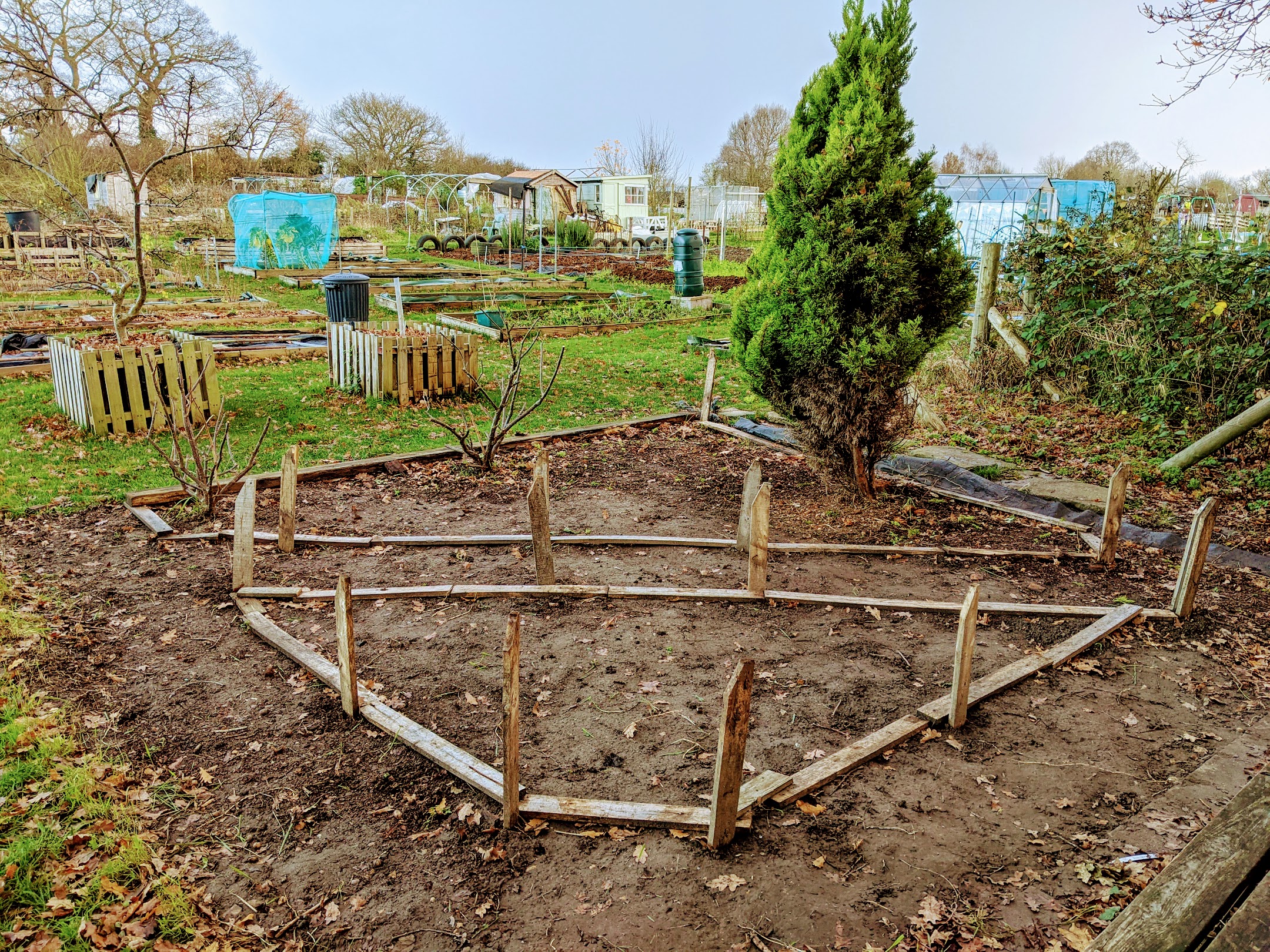 New Allotment Project – a wildlife garden it is!